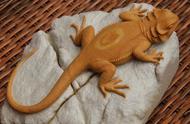 雕刻师的巧夺天工：用松花石塑造出一只栩栩如生的蜥蜴