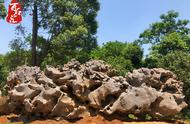 太湖石：园林奇石中的玲珑之美