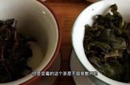 茯砖茶与金花茶：如何鉴别发霉和未发霉的茶叶？
