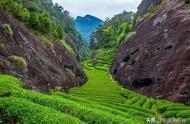 探索中国十大名茶茶山，尽享轻奢品茗之旅！