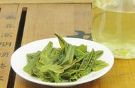 六安瓜片茶：它属于哪种茶类？
