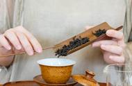 武夷岩茶“十香”：五种品味，你已入门了吗？