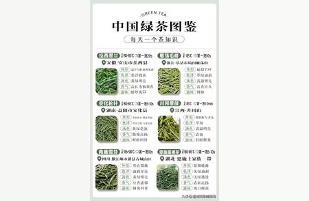 中国绿茶全攻略！珍藏起来慢慢品味，增长见识！